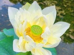 -云溪植物园