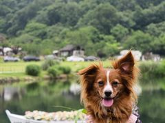 -南北湖风景区