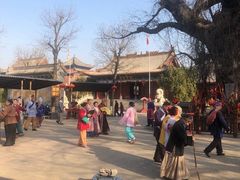 -大槐树寻根祭祖园