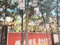 -天主教堂(莲池区)
