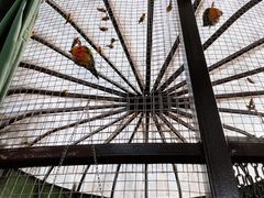 -常州淹城野生动物世界