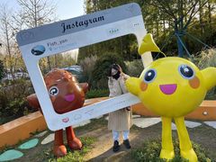 -黄海国家森林公园