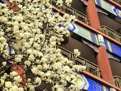 -大明幻境第一城