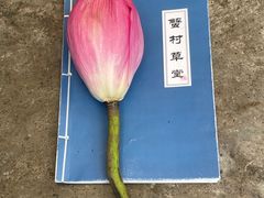 -蟹村草堂·苏式园林人文农家·大闸蟹