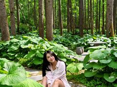 -洛阳白云山景区