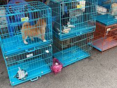 -清平路水族市场