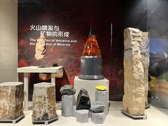 -正佳自然科学博物馆