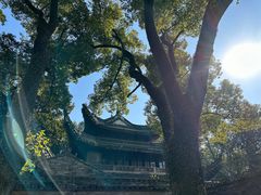 -天一阁博物院