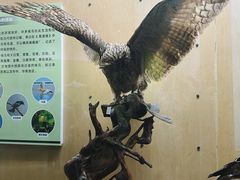 -陕西自然博物馆