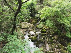 -楠溪江风景名胜区