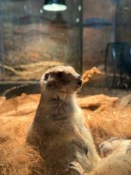 -Zoolung Zoolung动物主题公园(海信广场店)