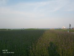 -秦皇岛阿尔卡迪亚滨海度假酒店