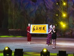 -灵玲国际马戏城