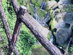 -南山植物园