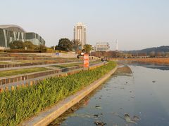 -月湖风景区
