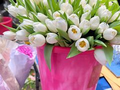 -循礼门鲜花花市(武汉循礼门店)