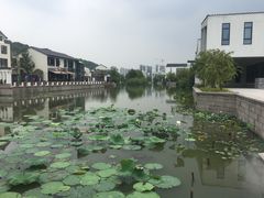 -湘湖金融镇