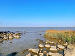 -上海吴淞炮台湾国家湿地公园