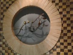 -Dragonfly悠庭·按摩Spa(静安嘉里中心店)