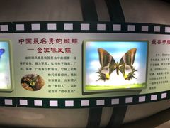 -上海昆虫博物馆
