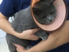 -佳雯宠物医院(金华南路分院)