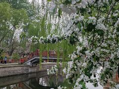 -海棠花溪(元大都城垣遗址公园)