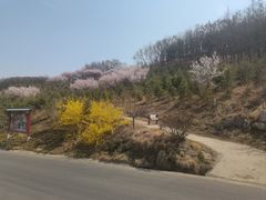 -威海华夏城景区