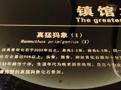 -大庆市博物馆