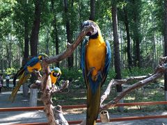 -北京野生动物园