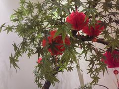 -范家小馆·烤鸭新京菜(金融街店)