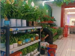 -大润发(康桥店)