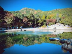 -香山公园