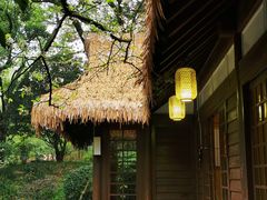 -中国茶叶博物馆(双峰馆区)
