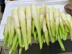茭白-桐庐江南农贸市场