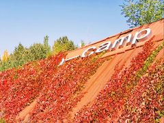 -亿利库布其七星湖沙漠生态旅游区