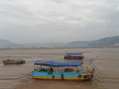 -北岐滩涂