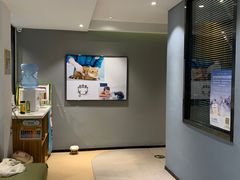 -御宝贝·A梦猫科宠物医院(国际猫友好医院)