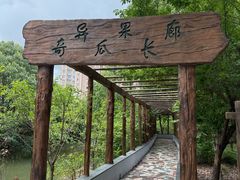 -南汇桃花村