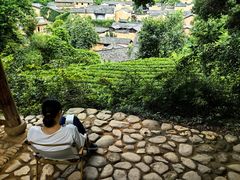 -杨家堂村