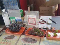 -马陆小张葡萄园农家乐