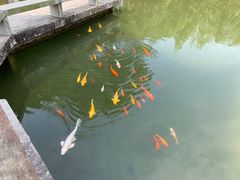 -广州神农草堂中医药博物馆