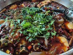 -黑竹香鸡(营和巷店)