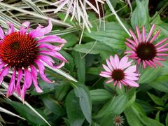 android_upload_pic-贵阳市花溪国家城市湿地公园