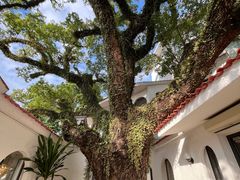 -澳门圣地牙哥古堡酒店