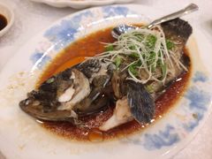 -沙田新强记烧鹅海鲜酒家