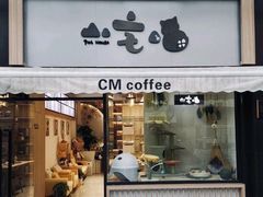 -山宅一喵德文卷毛猫舍