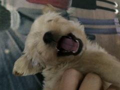 -咸宁万豪温泉谷度假区