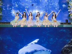 -南昌海洋公园