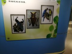 -上海昆虫博物馆