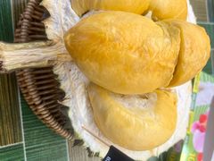 -都念榴莲·城市榴莲